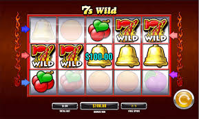 Wild Joker Casino: In-Depth Evaluation of Games, Incentives, and User Experience